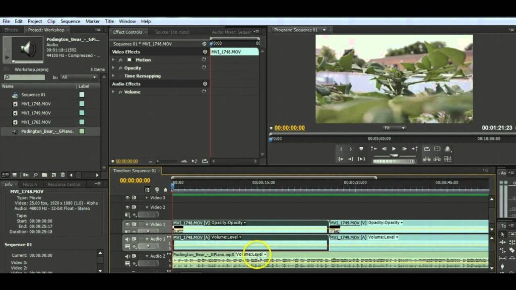 Audio and video editing
